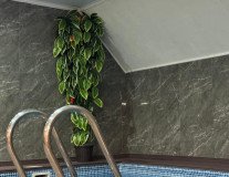 Банный комплекс Банный комплекс Royal Lux Spa в Алматы - фото 3 Банный комплекс Банный комплекс Royal Lux Spa в Алматы - фото 3
